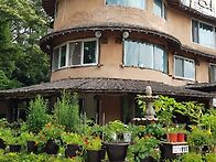 화창한 봄날, 만남이 좋구..