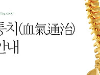 혈기통치(血氣通治) 치료안..