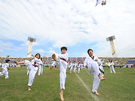 2011 경기도민체전..