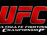 UFC가 2014년 하반기 한국..