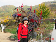 동해님~~!!