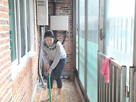 11월 늘푸른집