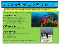 제주도 2박3일 투..