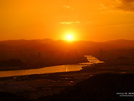 울산 태화강을 바라보며...