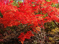 명성산