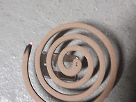 6월마지막주 금욜~