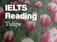 IELTS Reading (아이엘..