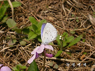 전심 법요 / 서문