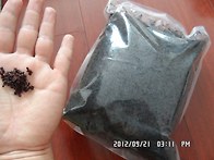 장백산,불개미,홍경천,곰열..