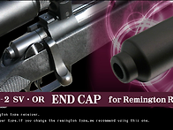 APS-2 Endcap..