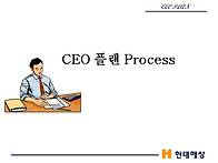 CEO PLAN 3