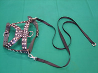 ★특수견 하네스착용 ~~~..