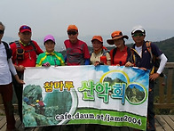 일요산행
