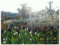 에버랜드 튤립축제 나들이