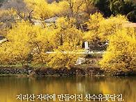 지리산주변 산수유마을