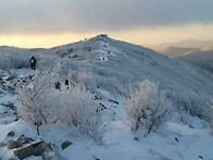 313차 정기산행 덕유산 백..