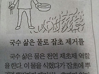 국수 먹고 잡초제거