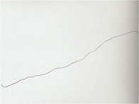 13. WHITE5 - 흰색 회화..