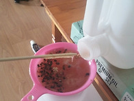 올해 채집한 꿀 ..