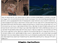 당파글 최종본