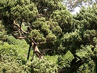 시인 하운 김남열..