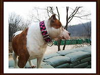 45번째 용품 경매..