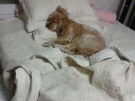 나는,...어디서 자???