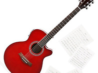 엔타브 ns300 eq 장미빛 ..