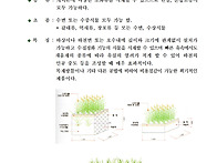 완성형 초화류 식생 생태게..