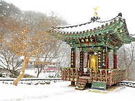 Bg-11 출처 : 헬스조선