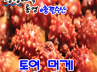 통영멸치