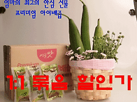 설맞이 이벤트(프리미엄/아이것과 어른것)