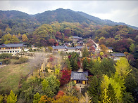 영주 부석사 소수서원 선비..