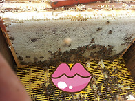 올해도 풍밀하세요.