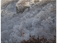 [20131222]서대산6