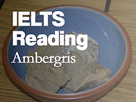 IELTS Reading (아이엘..