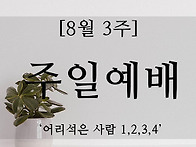 [2020년 8월 3주..