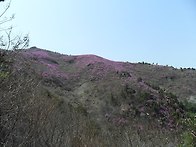 여수 영취산!!! 즐거운 산..