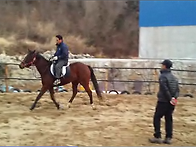 박용석 회원님이 말을 타네..