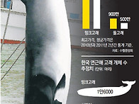 다른 나라에서는 ..