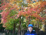대전사진 추가요~~