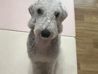 우리 뿌까!!
