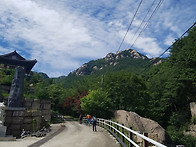 170827 속리산 산수유 릿..