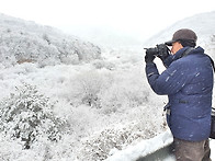 겨울 풍경