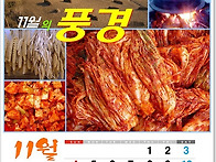 11월을 맞으며...