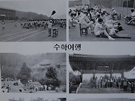 스승의 날, 수학여행