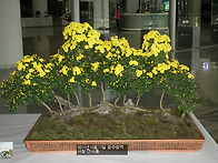 2011년 광주시청에..
