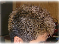 자란 신생모 다시..