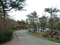 서귀포 자연휴향림 (2) ..