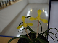 2017년 청주 연합전시회...